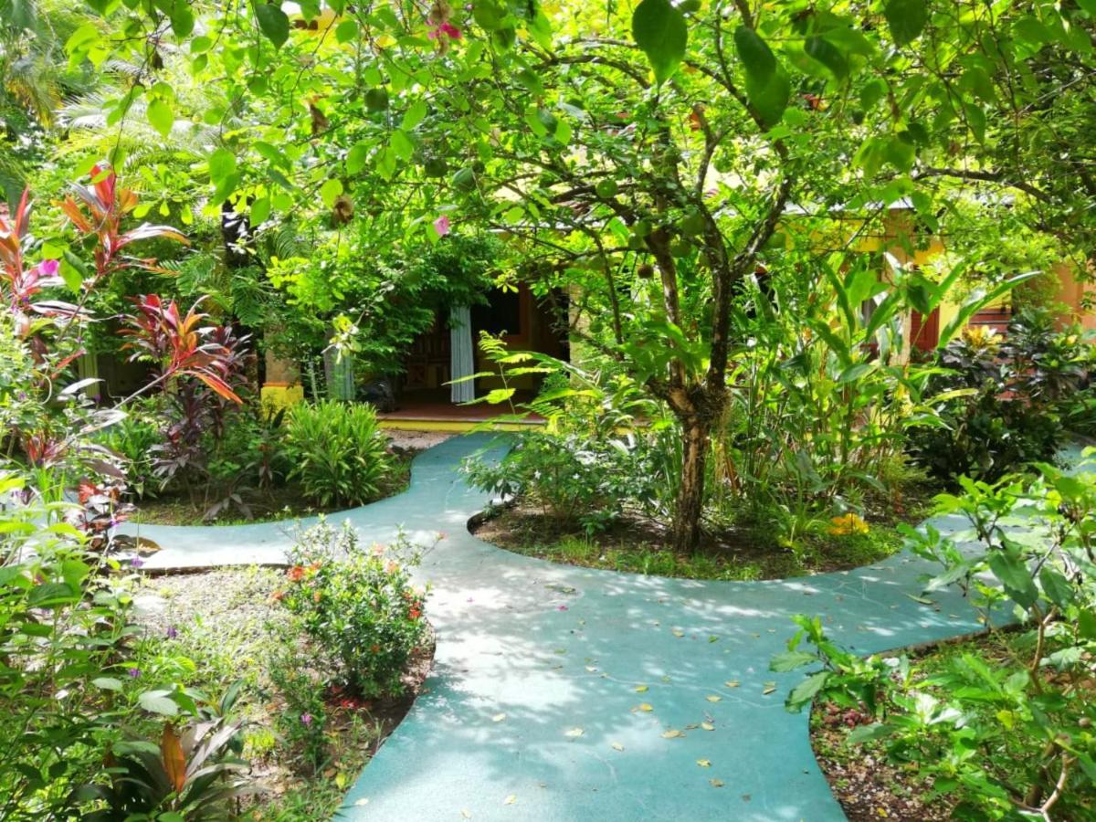 Villas Verdes Sámara Buitenkant foto